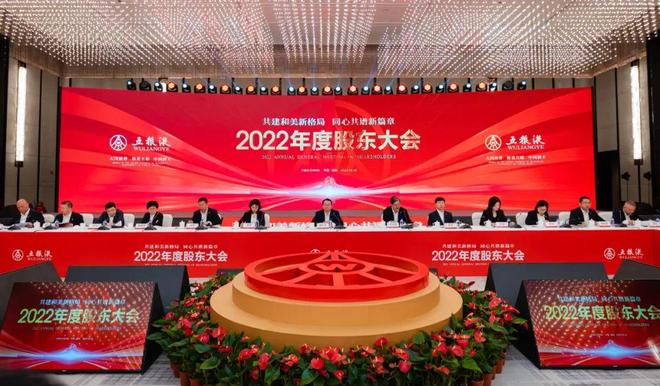 五粮液股票未来展望,能否持续攀升至300元?,五粮液股票未来展望,能否继续攀升至300元大关?