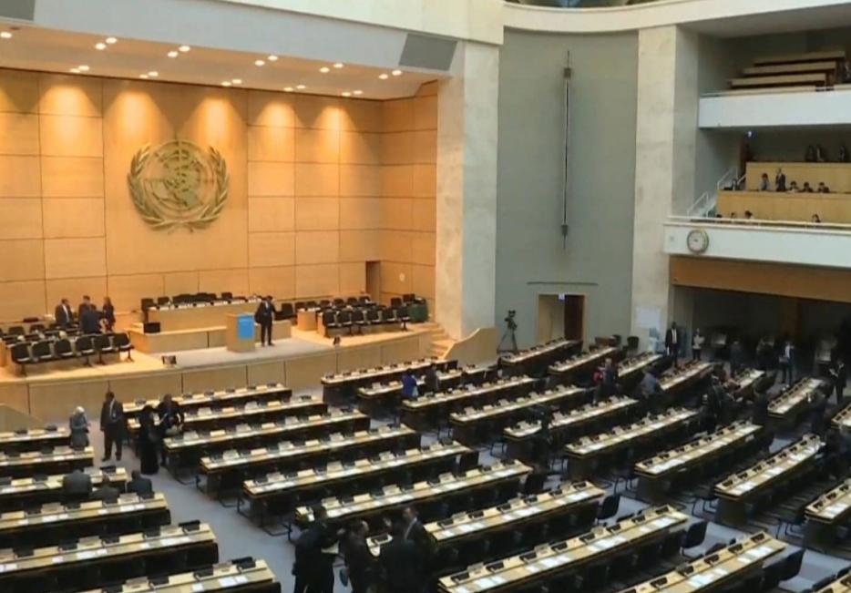 揭秘澳门未来之夜,2024年今晚的开奖预测与探索,澳门未来之夜揭秘,2024年开奖预测与探索之旅