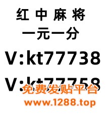 状元红97049免费资料，探索与启示，状元红97049免费资料探索，启示与深度解析