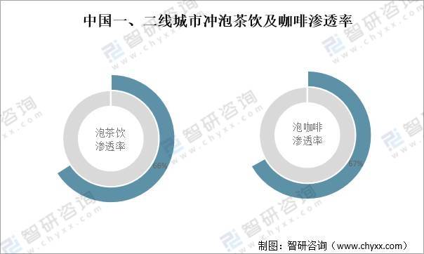 中国中免未来发展前景展望,中国中免未来展望,发展潜力的无限可能