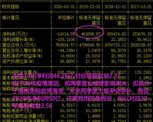 中国中免未来十年估值展望，中国中免未来十年估值展望，展望十年发展，洞悉企业价值潜力