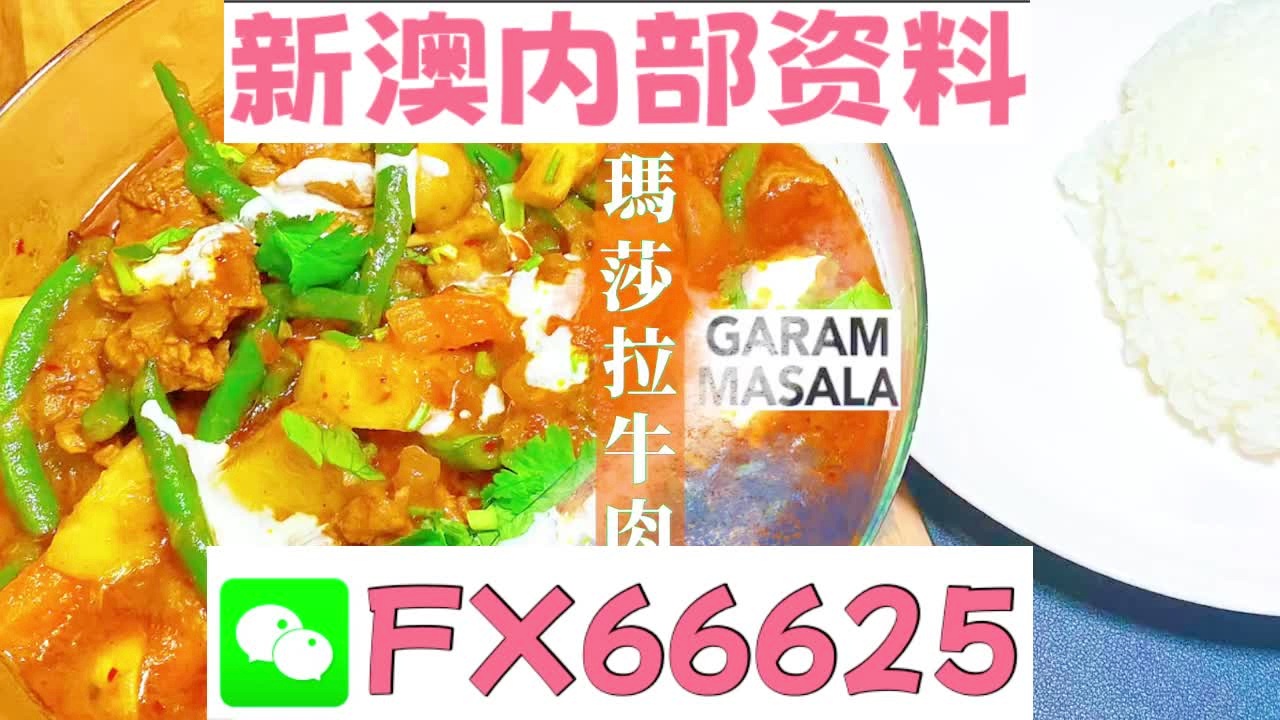 澳门正版精准资料的重要性及其免费获取途径，澳门正版精准资料的重要性与免费获取途径解析