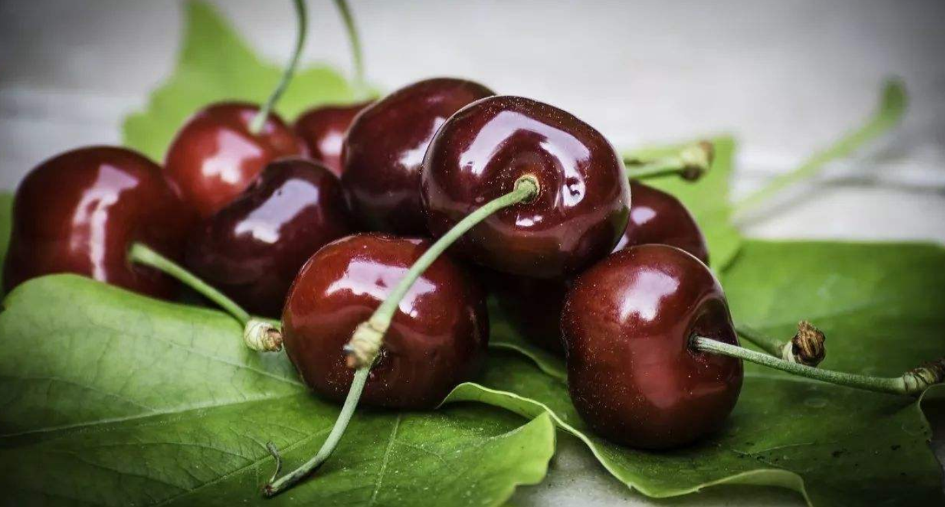 今冬首船智利车厘子抵青新——品味南半球佳果，领略跨境贸易新篇章，首船智利车厘子今冬抵青新，南半球佳果开启跨境贸易新篇章