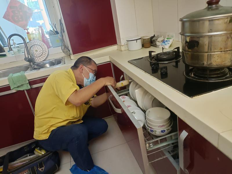 新奥天天免费资料大全,探索与收获,新奥天天免费资料大全,探索之旅与收获时刻