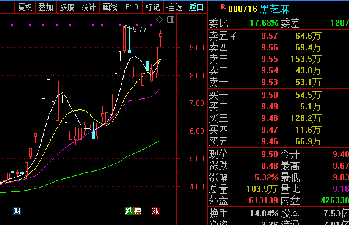 黑芝麻股票,未来能否攀升至20元?,黑芝麻股票未来走势预测,能否冲破20元大关?