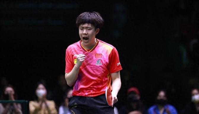 探索新澳门，2024精准免费大全的独特魅力，探索新澳门，揭秘2024精准免费大全的独特魅力