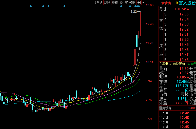 雪人股份还会大涨吗,深度分析与前景预测,雪人股份的未来走势,深度分析与前景预测