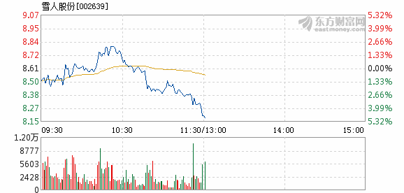 雪人股份目标价2024年,深度分析与展望,雪人股份2024年目标价深度分析与展望