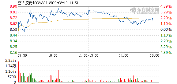 雪人股份股票表现分析,现状、前景与潜在影响,雪人股份股票深度解析,现状、前景与潜在影响