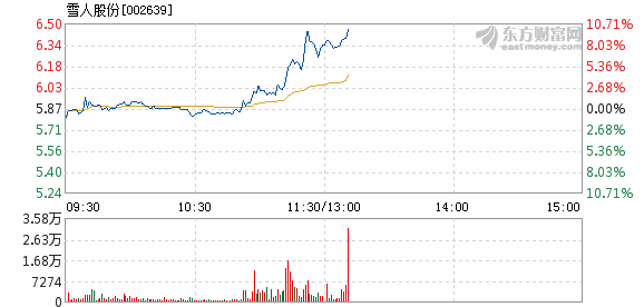 雪人股份股票表现分析,现状、前景与潜在影响,雪人股份股票深度解析,现状、前景与潜在影响