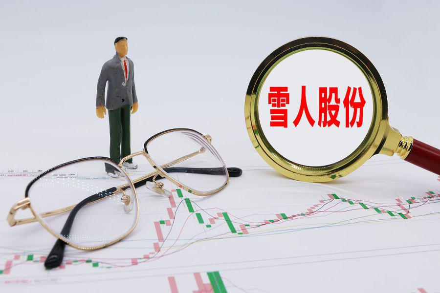 雪人股份的破产原因分析，雪人股份破产原因深度解析