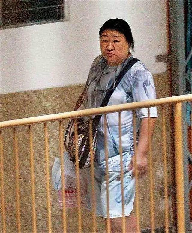 澳门四不像正版，探索与解析，澳门四不像正版，深度探索与解析