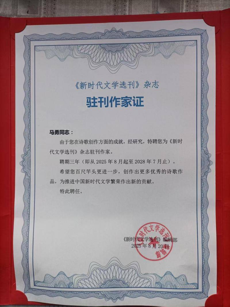 澳门正版挂牌，探索其背后的故事，澳门正版挂牌背后的故事探索