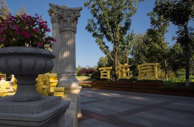 新澳门特免费资料大全与凯旋门，探索与赏析，澳门特免费资料大全与凯旋门，深度探索与赏析