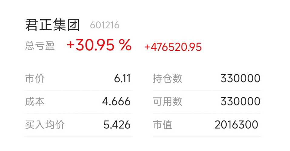 君正集团目标价20元，解析与前景展望，君正集团目标价20元，解析及前景展望