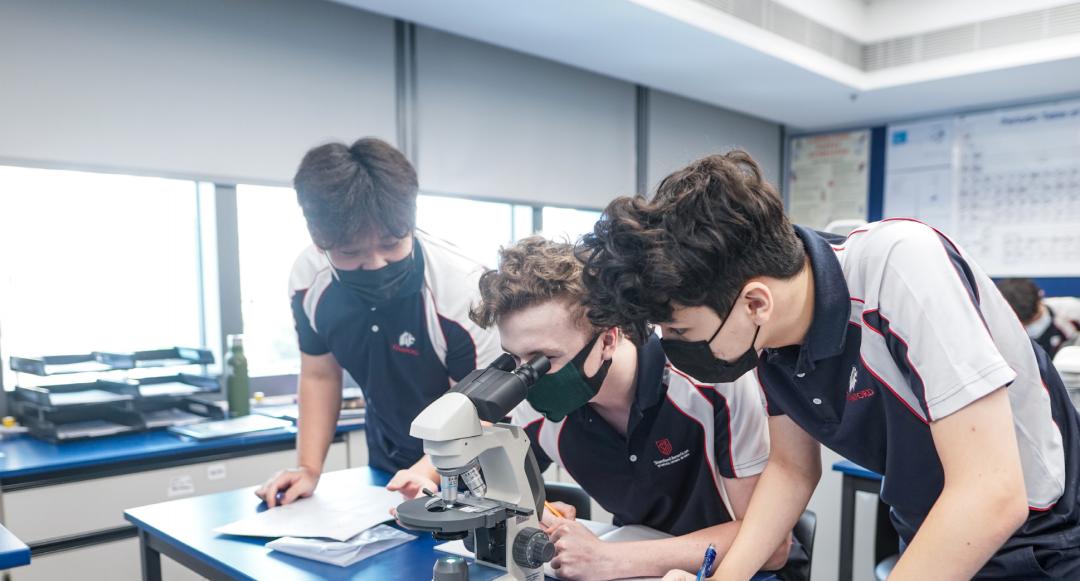 香港全年资料大全,探索香港的无限魅力,香港全年资料大全,探索无限魅力的香港