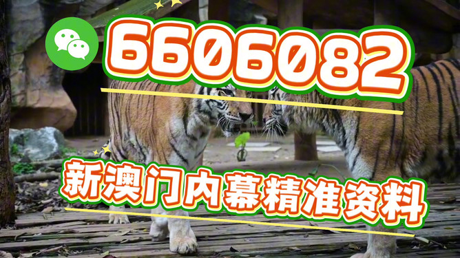 澳门今晚必开一肖一特，探索运气与预测的背后，探索运气与预测背后的秘密，澳门今晚必开一肖一特揭秘