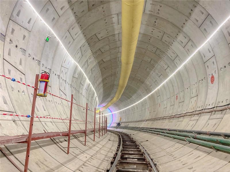 未来趋势与机遇探索