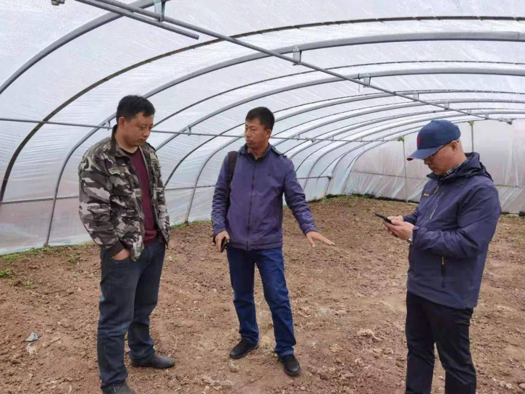 新澳门王中王,揭秘期期中的秘密与魅力,揭秘新澳门王中王期期魅力与秘密