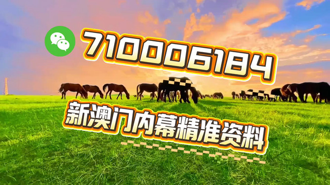 澳门今晚必开一肖一特，探索命运之轮的神秘面纱，澳门今晚必开生肖秘密，命运之轮神秘面纱揭晓