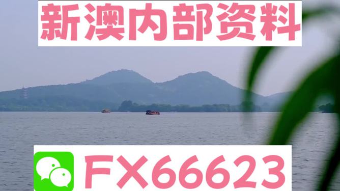 新澳2024正版资料免费公开，探索与启示，新澳2024正版资料探索与启示，免费公开内容揭秘