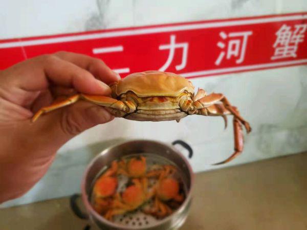 今日螃蟹价格最新行情分析,今日螃蟹价格行情分析与展望