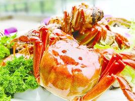 今日螃蟹价格最新行情分析,今日螃蟹价格行情分析与展望