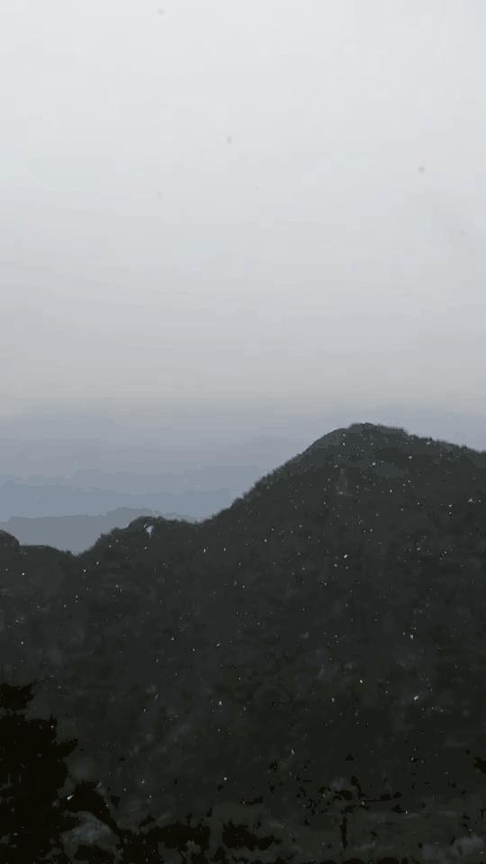 菏泽最新天气预报，菏泽最新天气预报信息速递