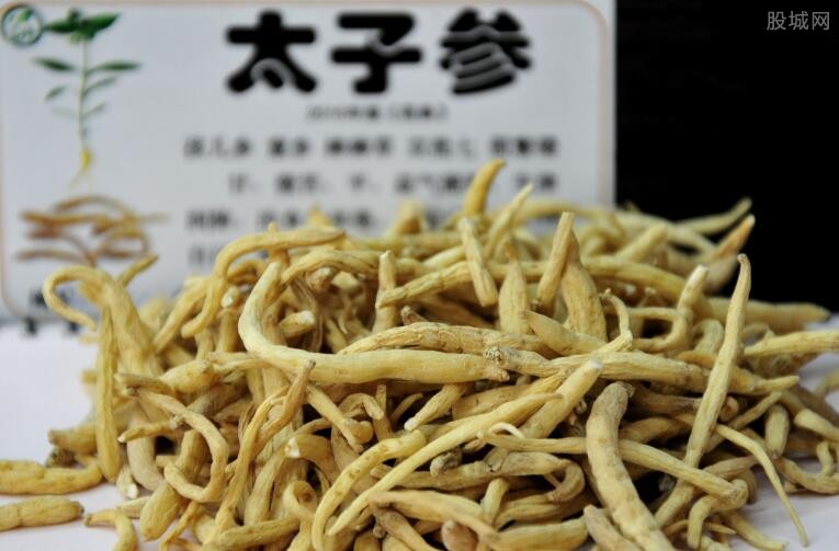 太子参价格最新动态,市场分析与预测,太子参价格最新动态及市场分析与预测报告