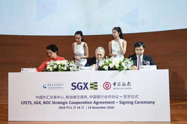 中国银行外汇最新牌价,深度分析与展望,中国银行外汇最新牌价,深度解析及未来展望