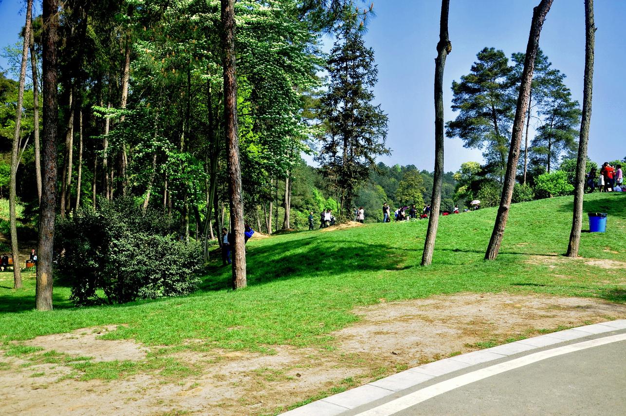 东方海洋股票最新消息全面解读,东方海洋股票最新消息全面解读与分析