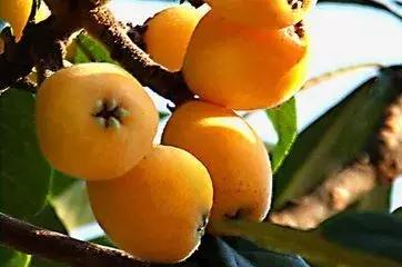 美国最新股市行情深度解析,美国股市行情最新深度解析