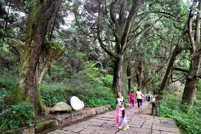 洛阳最新消息,古都焕发新活力,古都洛阳焕发新活力,最新消息一览