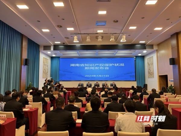 湖南最新新闻概览，湖南最新新闻概览，最新动态速览