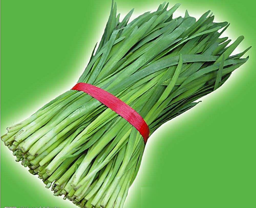 韭菜价格最新行情分析,韭菜价格最新行情解析