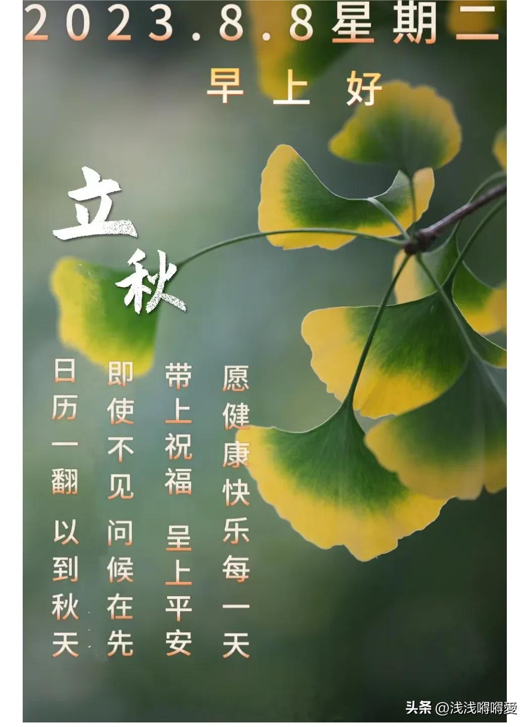 最新的早安图片,唤醒美好一天的温馨启示,温馨早安图片,唤醒美好一天的正能量启示